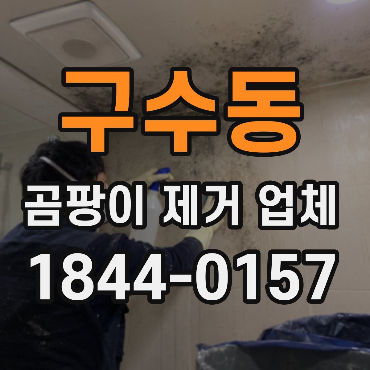 구수동 곰팡이 제거 업체