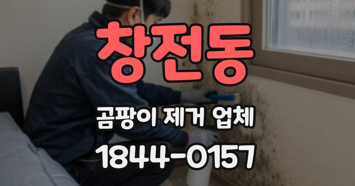 창전동 곰팡이 제거 업체
