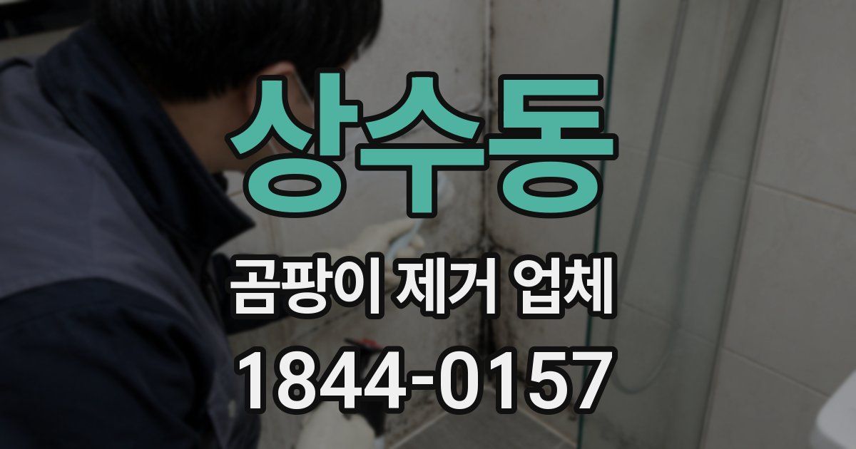 상수동 곰팡이 제거 업체