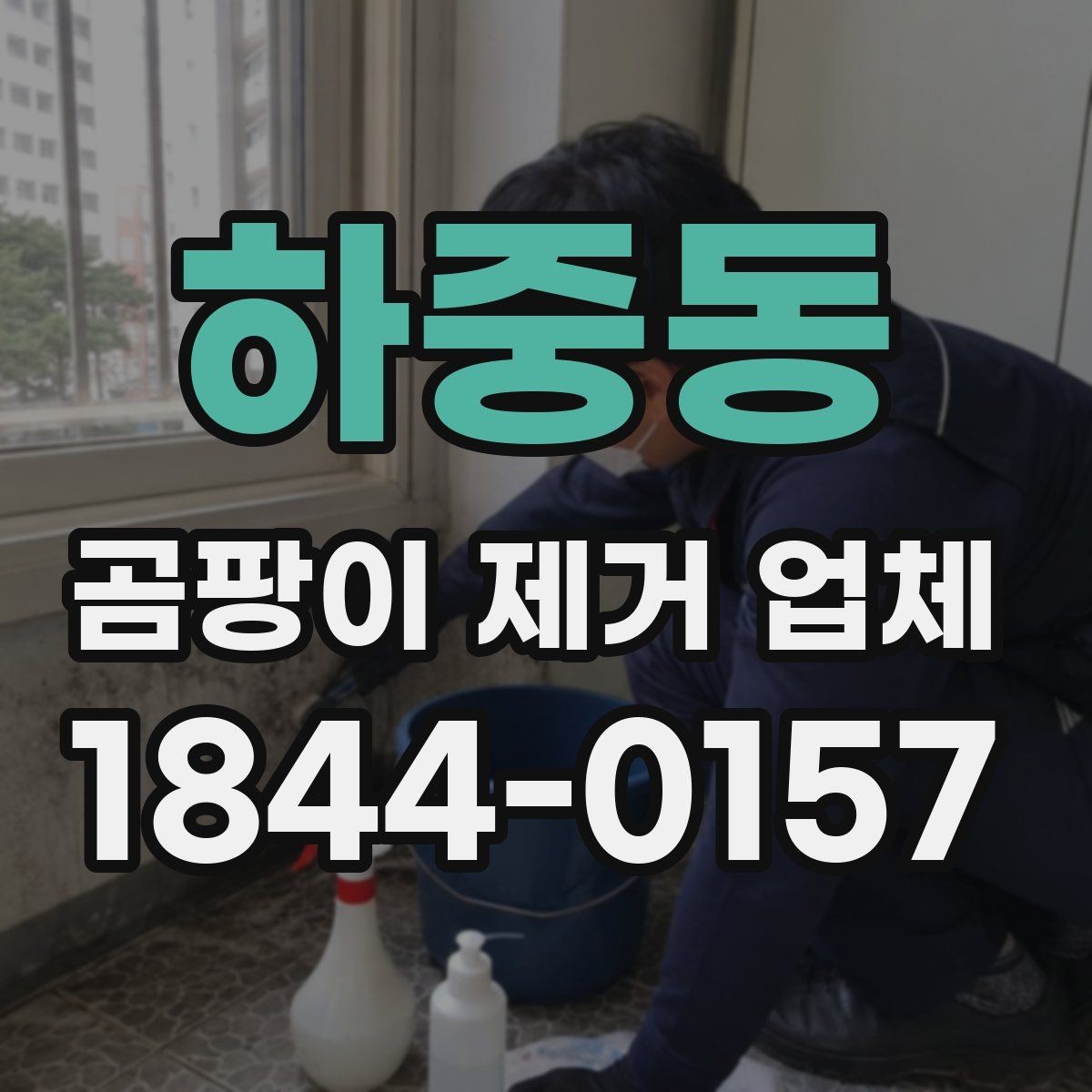 하중동 곰팡이 제거 업체 천장 곰팡이 원인부터 살피는 순서