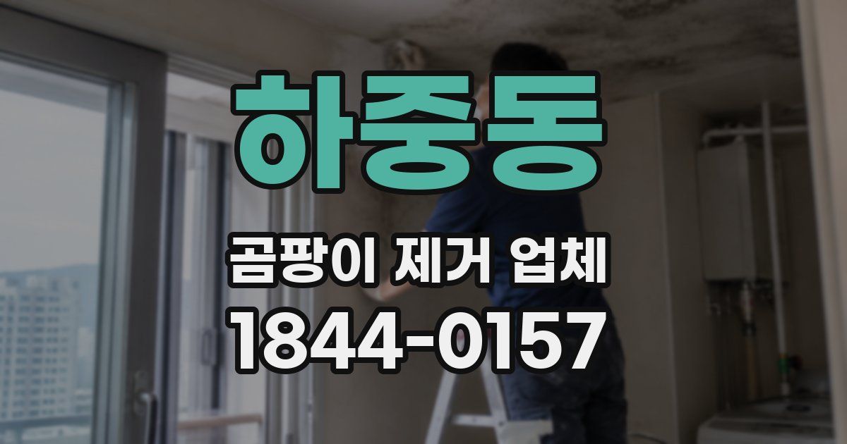 하중동 곰팡이 제거 업체