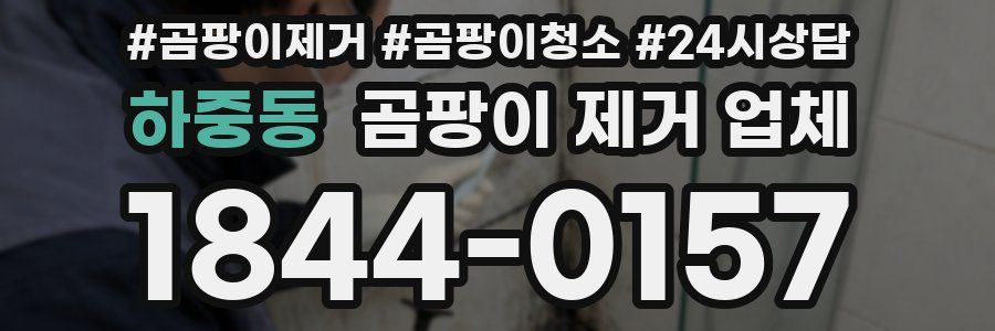 하중동 곰팡이 제거 업체