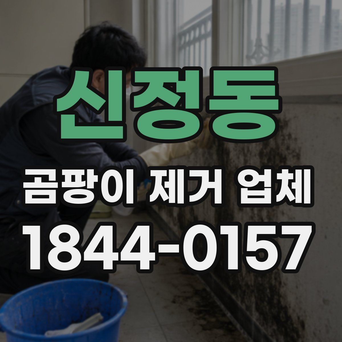 신정동 곰팡이 제거 업체