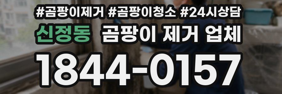 신정동 곰팡이 제거 업체