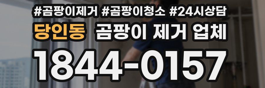 당인동 곰팡이 제거 업체