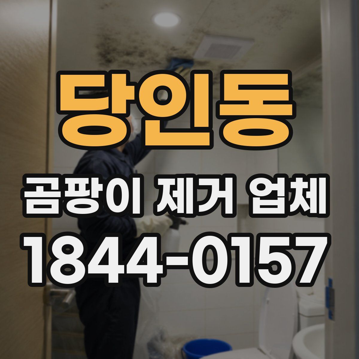 당인동 곰팡이 제거 업체