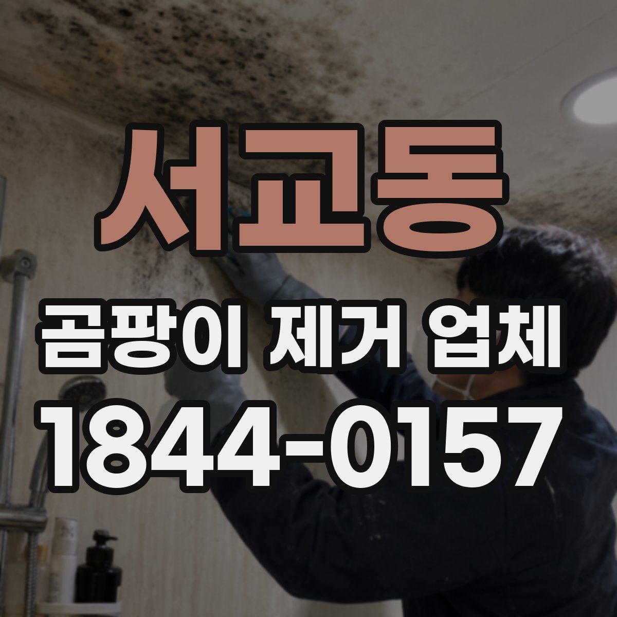 서교동 곰팡이 제거 업체