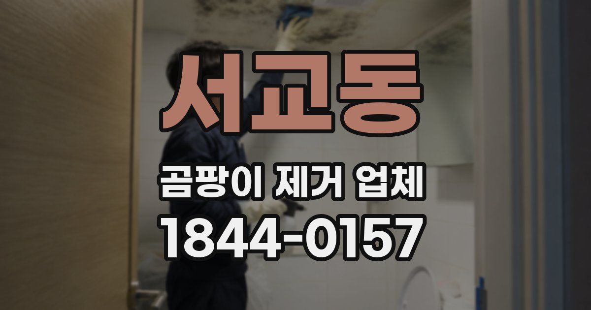 서교동 곰팡이 제거 업체