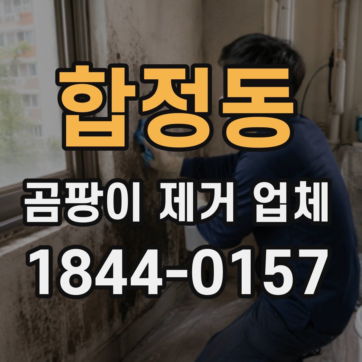 합정동 곰팡이 제거 업체