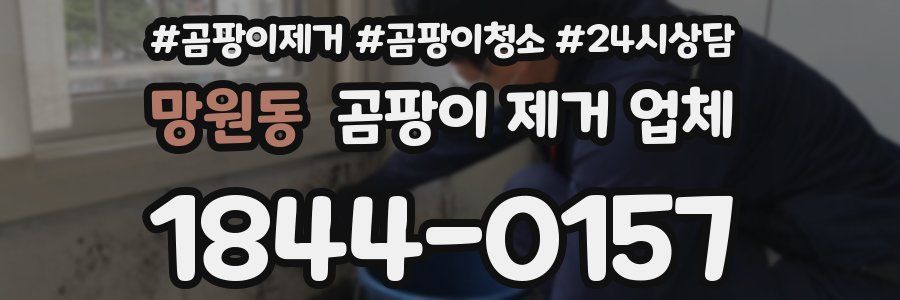 망원동 곰팡이 제거 업체
