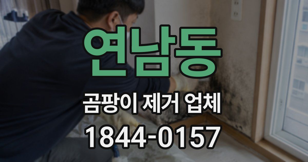 연남동 곰팡이 제거 업체