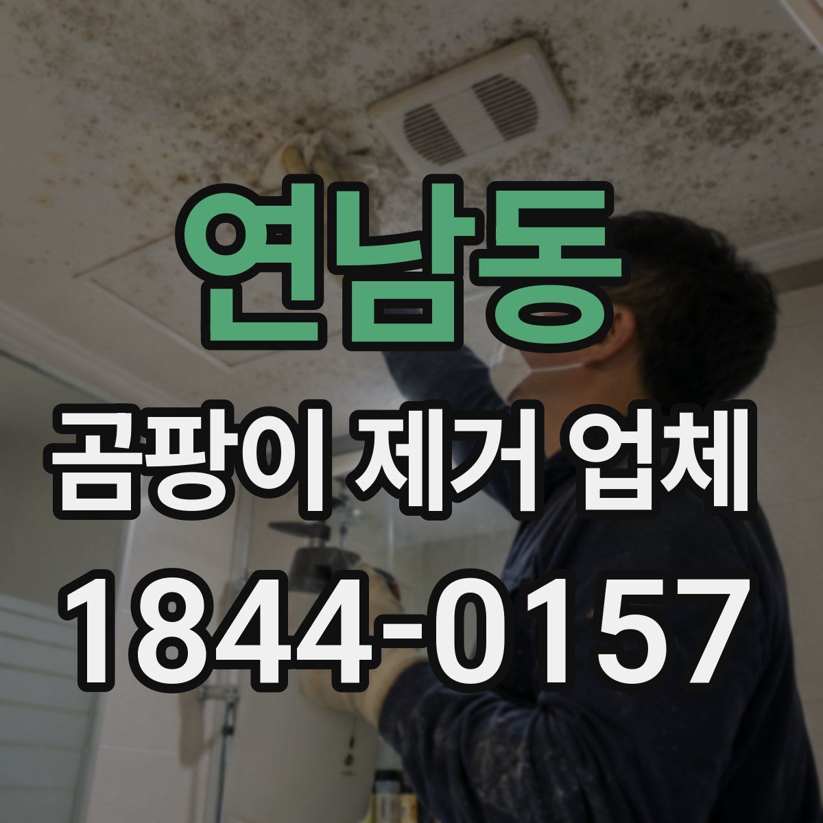 연남동 곰팡이 제거 업체
