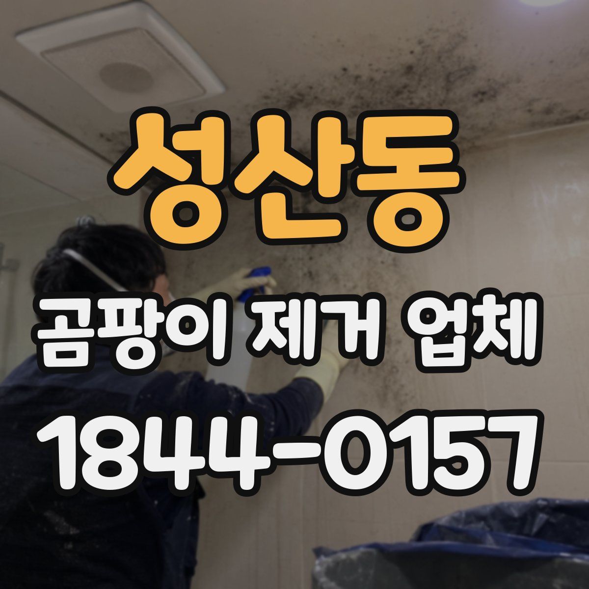 성산동 곰팡이 제거 업체