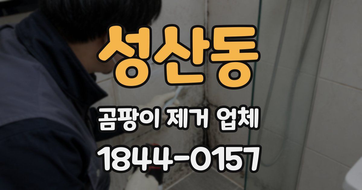 성산동 곰팡이 제거 업체