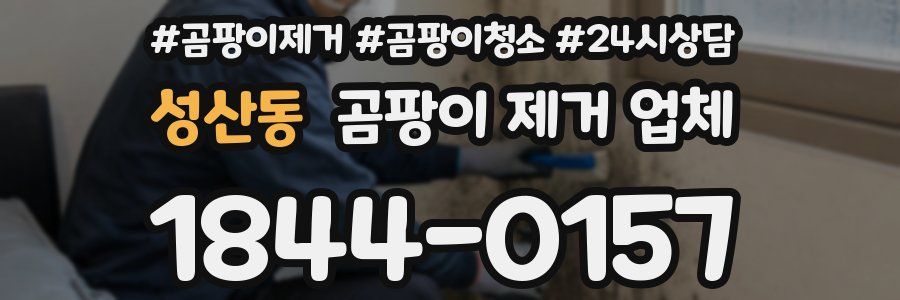 성산동 곰팡이 제거 업체