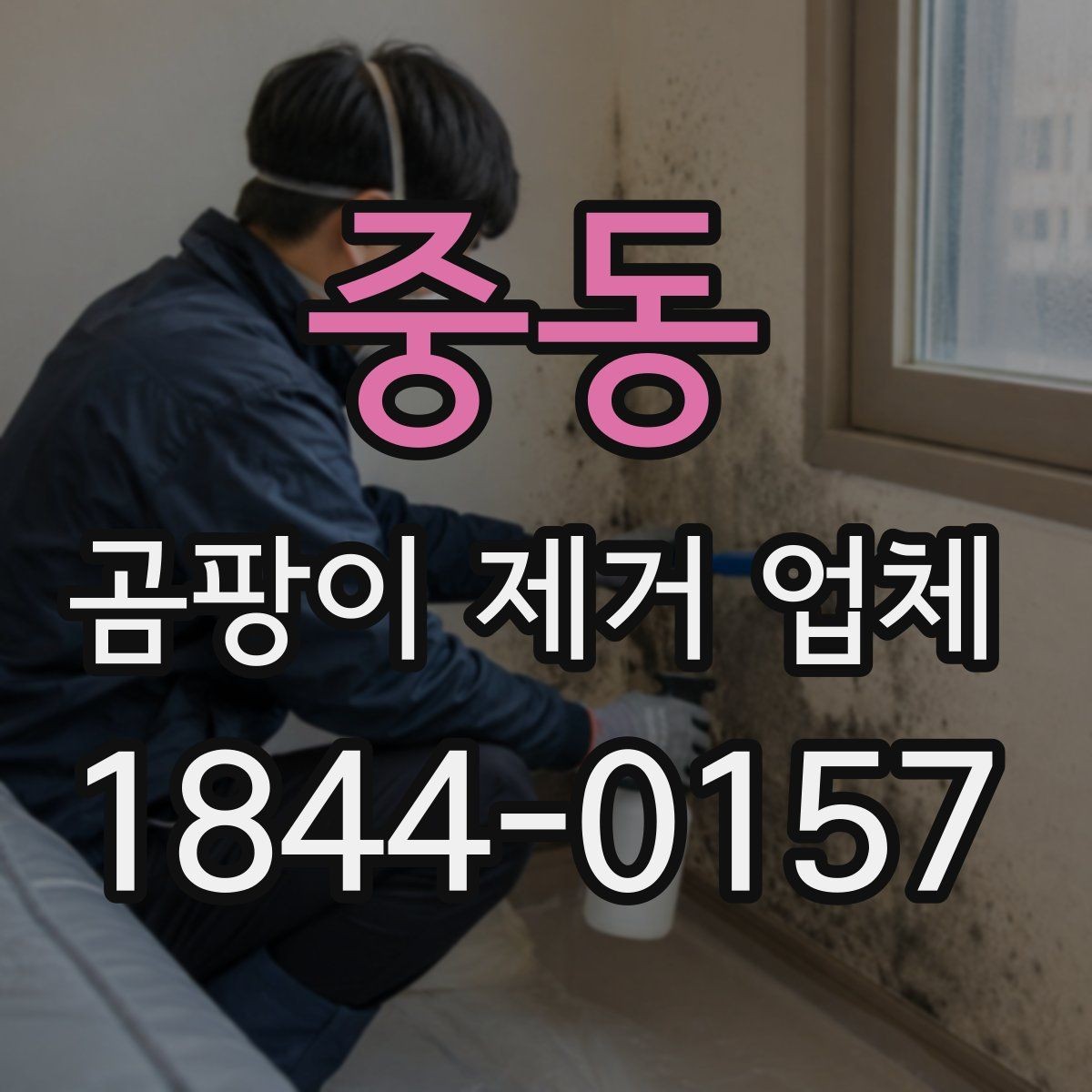 중동 곰팡이 제거 업체 집주인 상담 시 준비하면 좋은 점검 자료