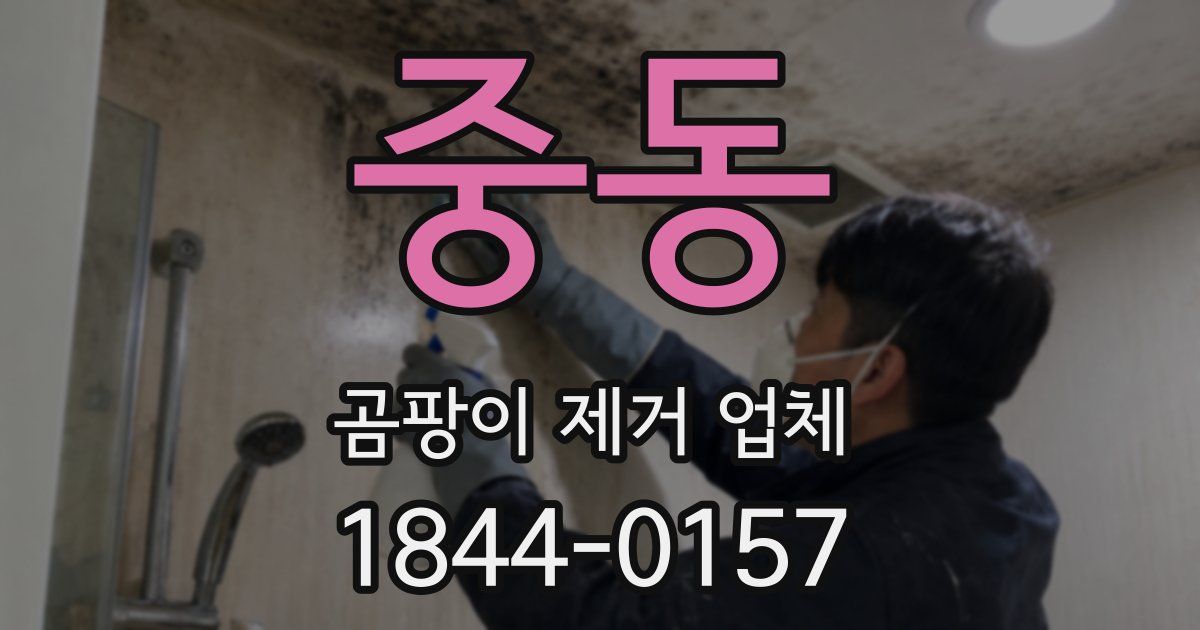 중동 곰팡이 제거 업체