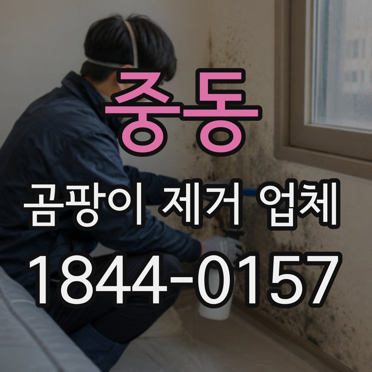중동 곰팡이 제거 업체