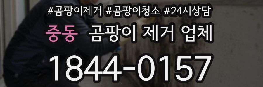 중동 곰팡이 제거 업체