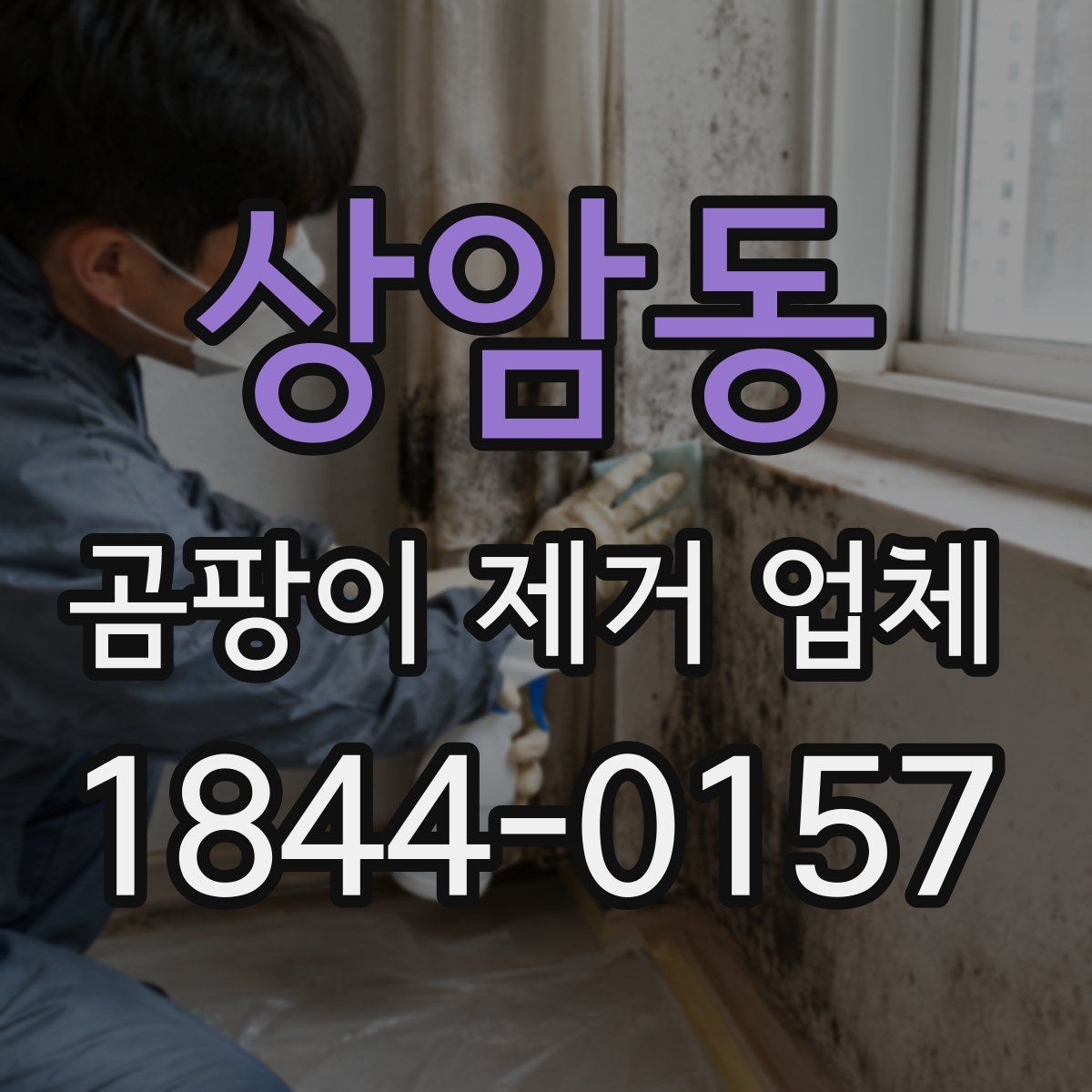 상암동 곰팡이 제거 업체