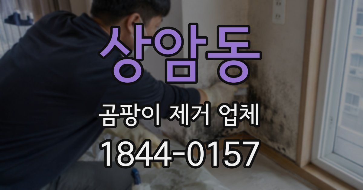 상암동 곰팡이 제거 업체