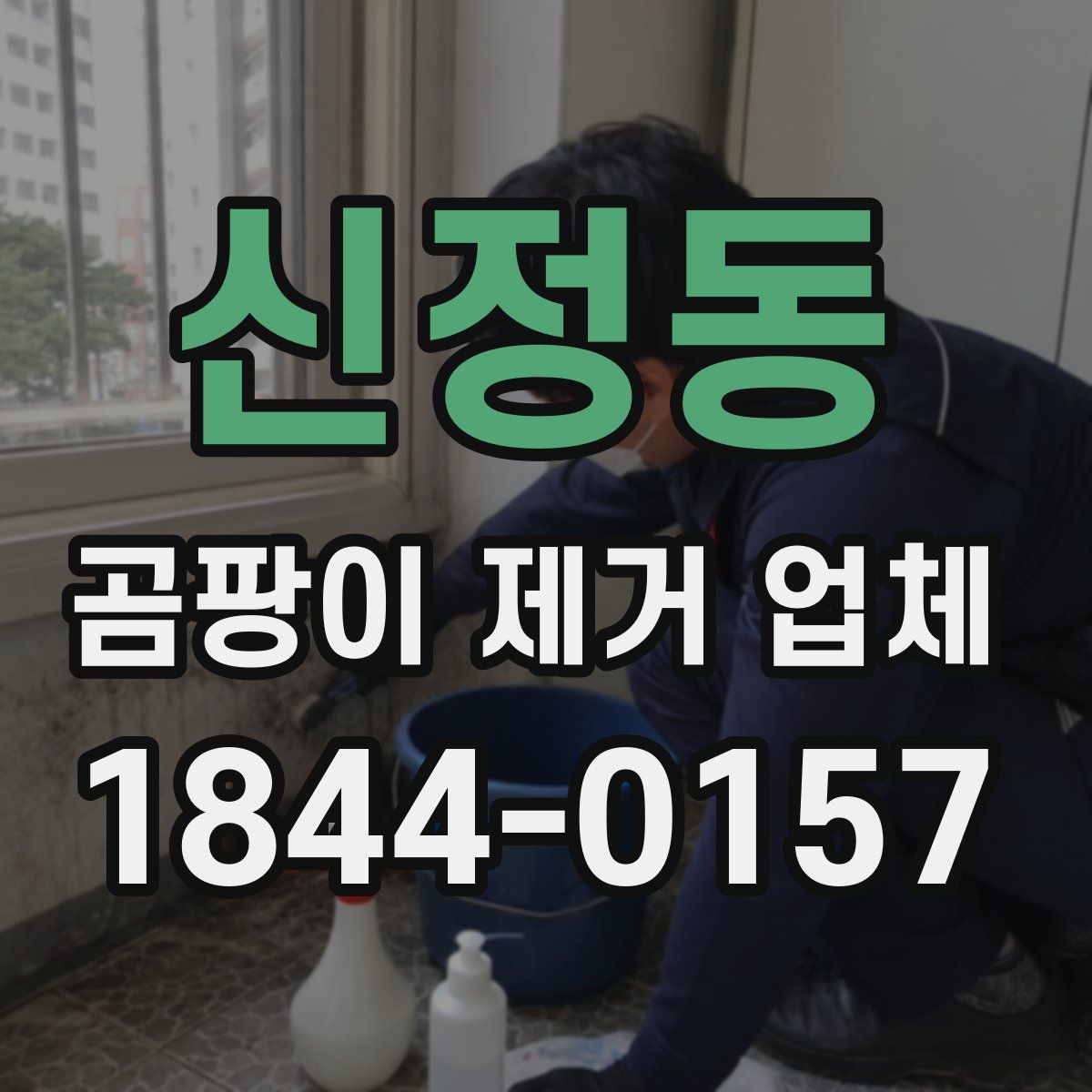 신정동 곰팡이 제거 업체