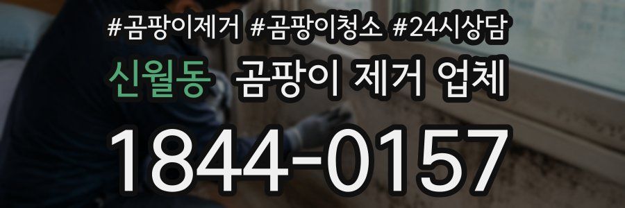 신월동 곰팡이 제거 업체