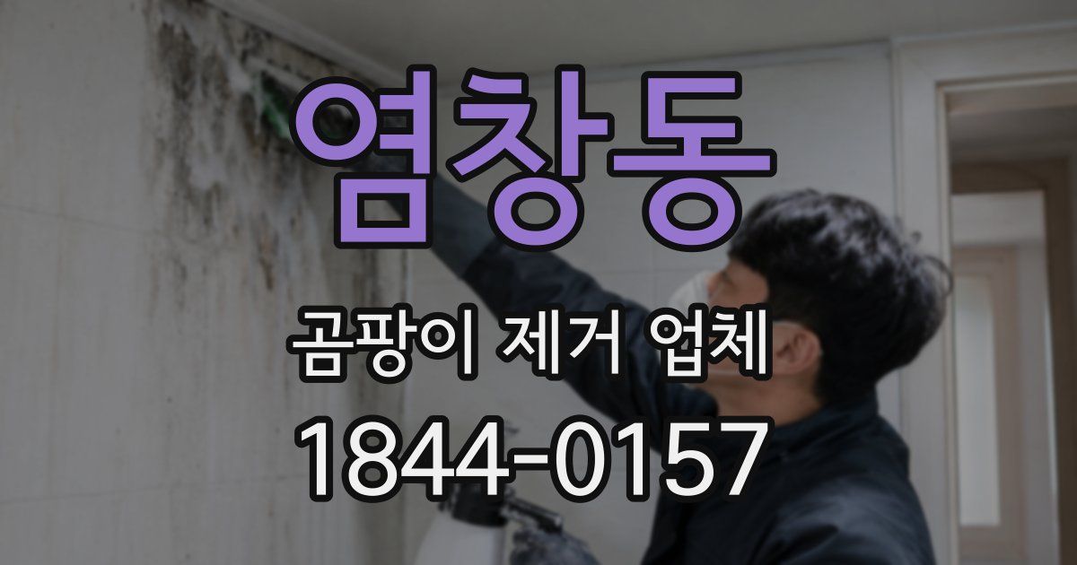 염창동 곰팡이 제거 업체