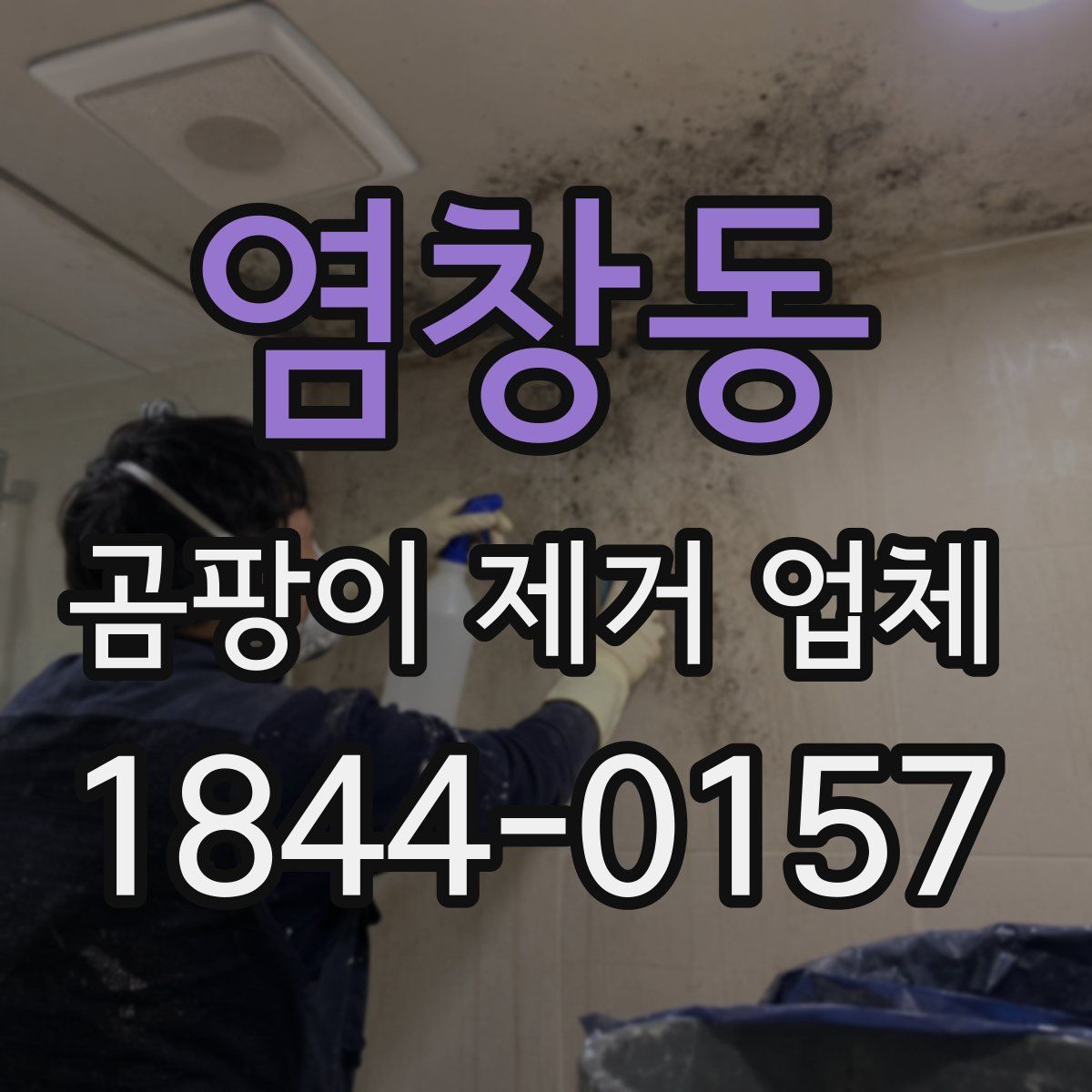 염창동 곰팡이 제거 업체