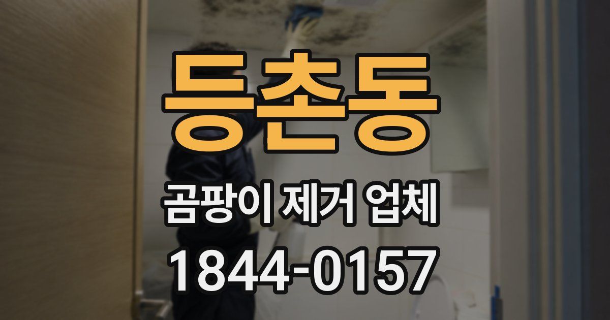등촌동 곰팡이 제거 업체