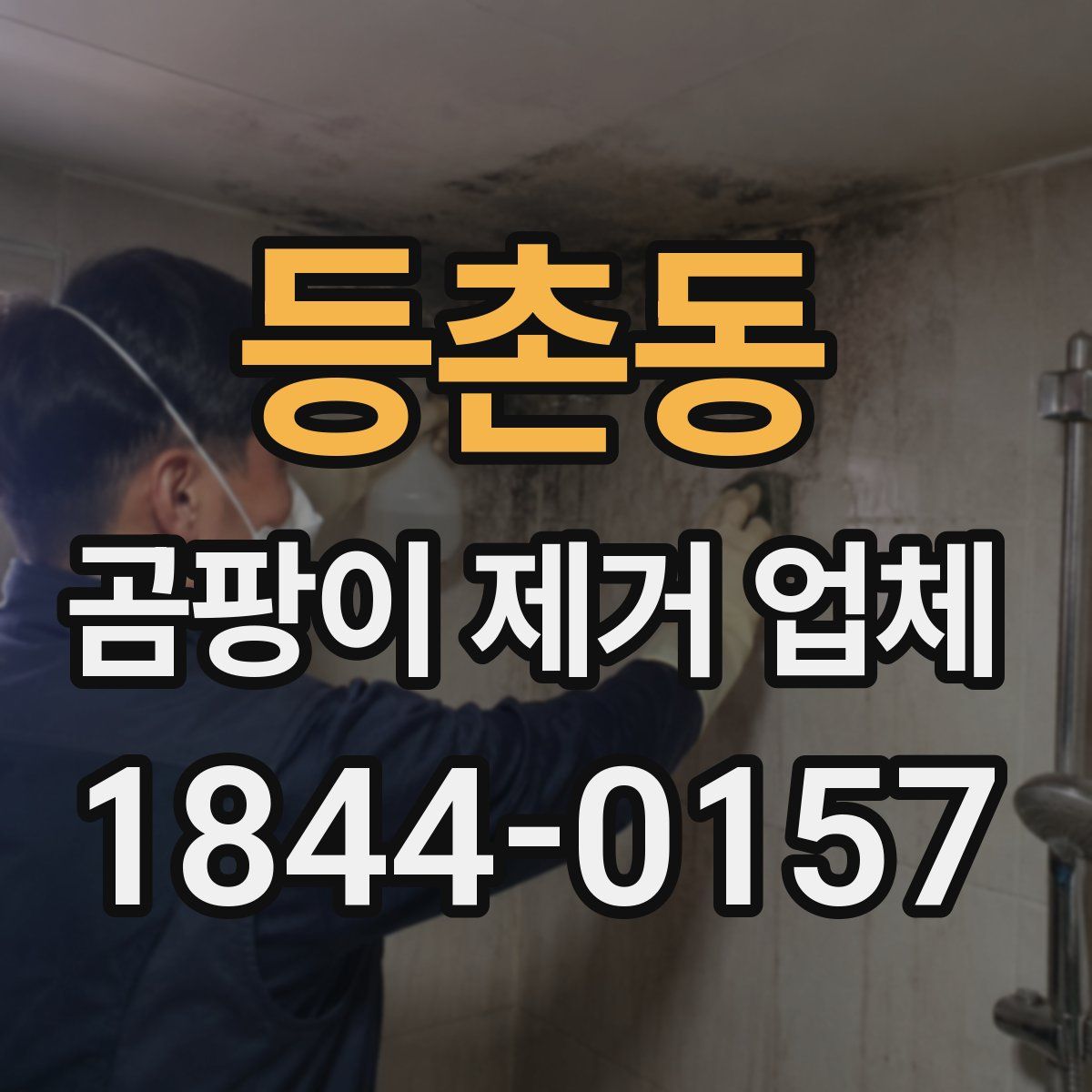등촌동 곰팡이 제거 업체