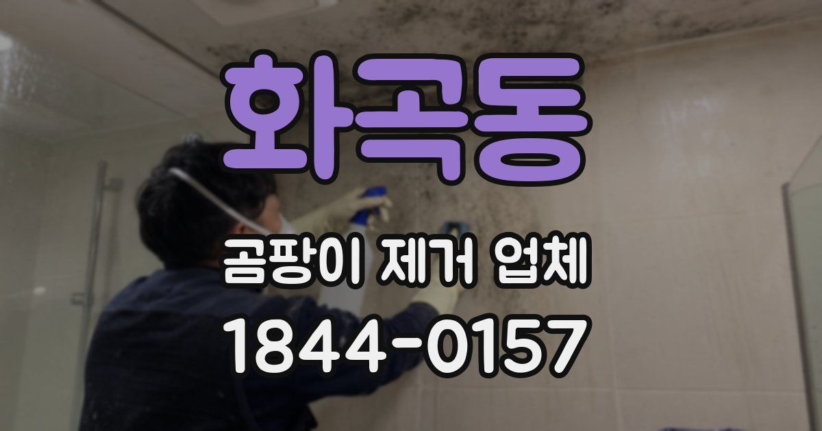 화곡동 곰팡이 제거 업체