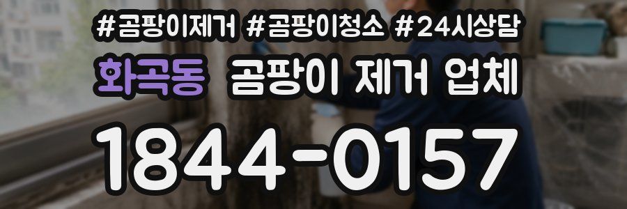 화곡동 곰팡이 제거 업체