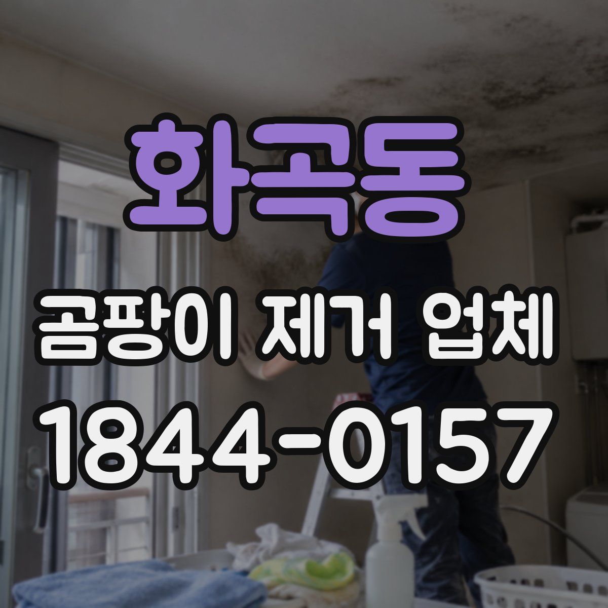 화곡동 곰팡이 제거 업체