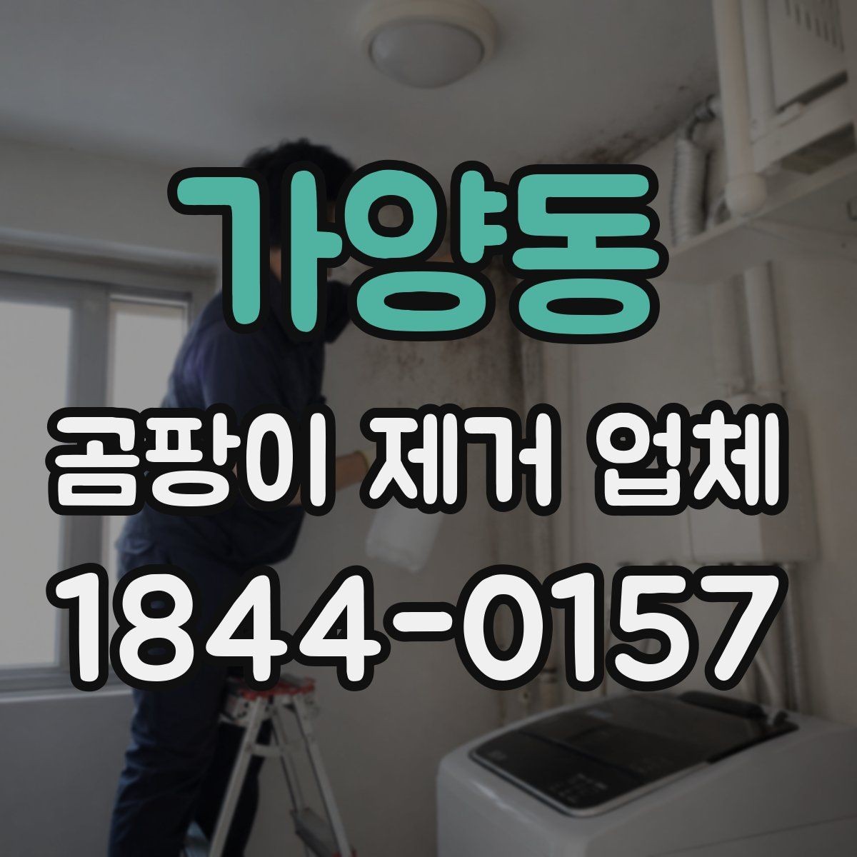 가양동 곰팡이 제거 업체 욕실과 주거공간 오염 양상 비교