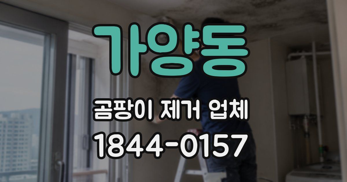 가양동 곰팡이 제거 업체