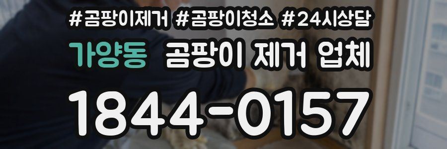 가양동 곰팡이 제거 업체