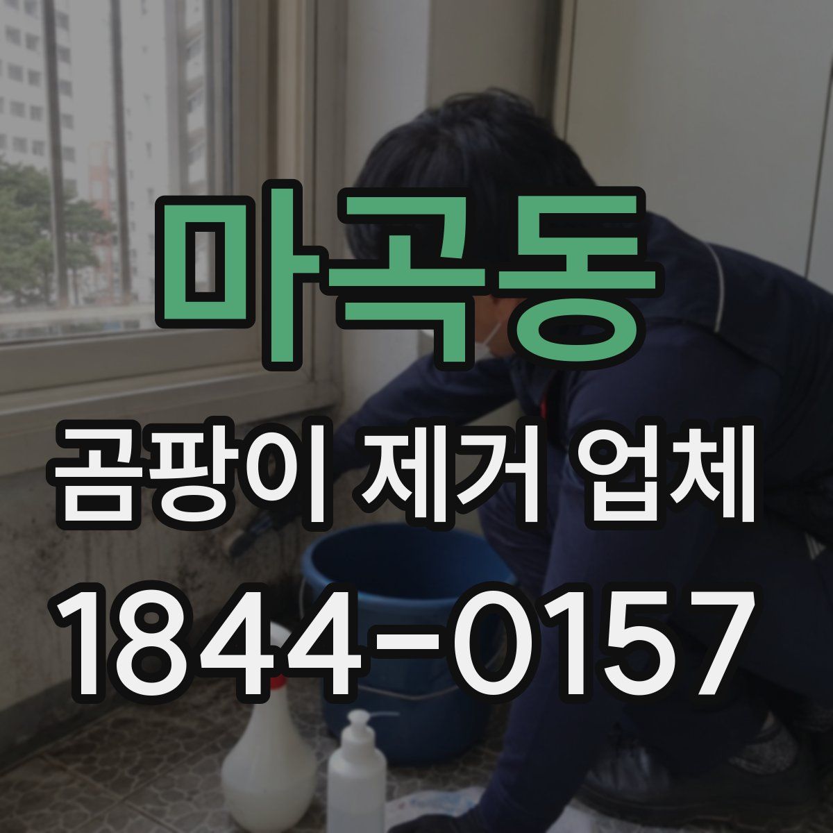 마곡동 곰팡이 제거 업체