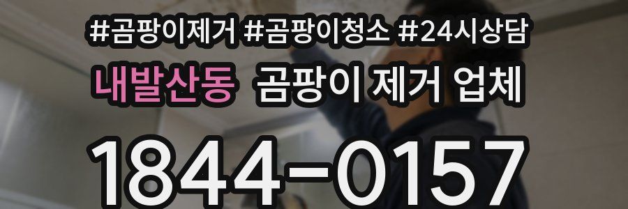 내발산동 곰팡이 제거 업체