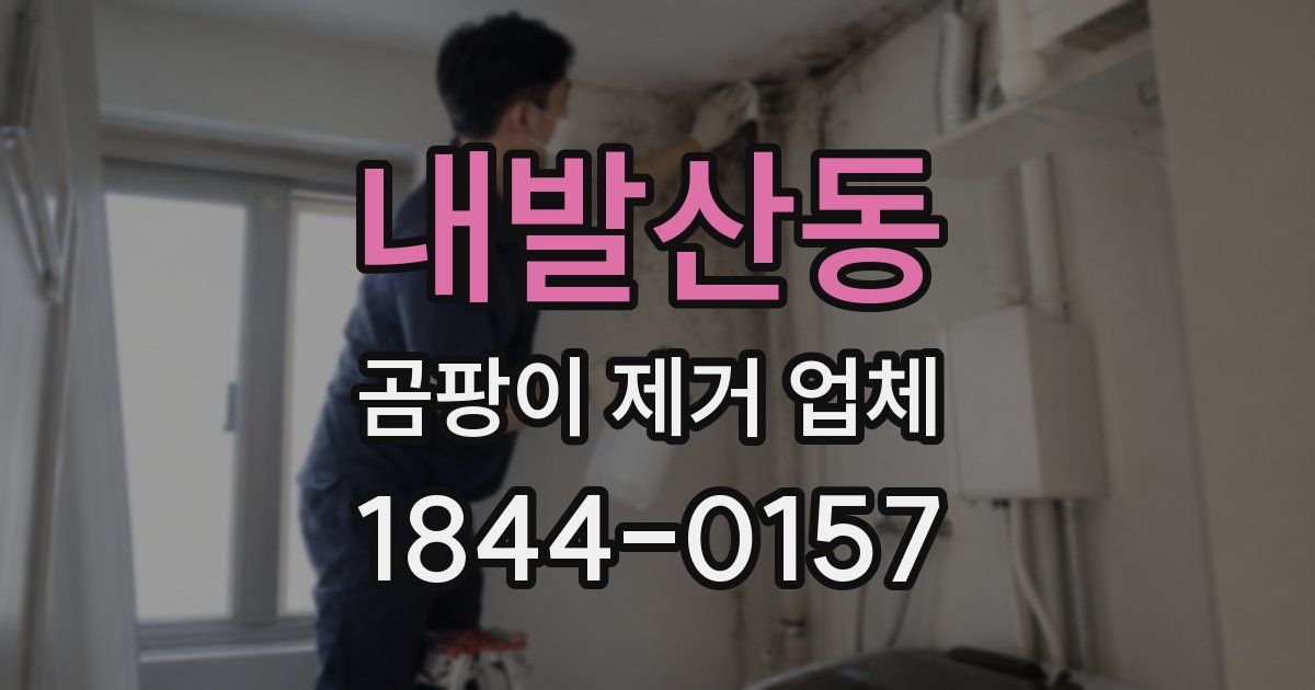 내발산동 곰팡이 제거 업체