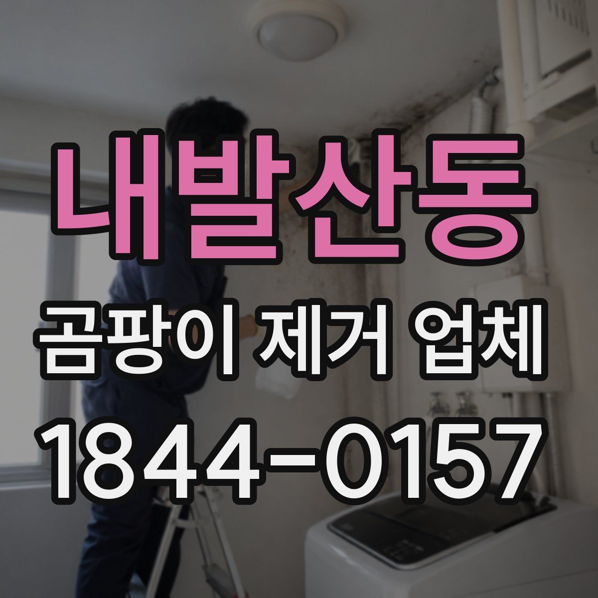 내발산동 곰팡이 제거 업체