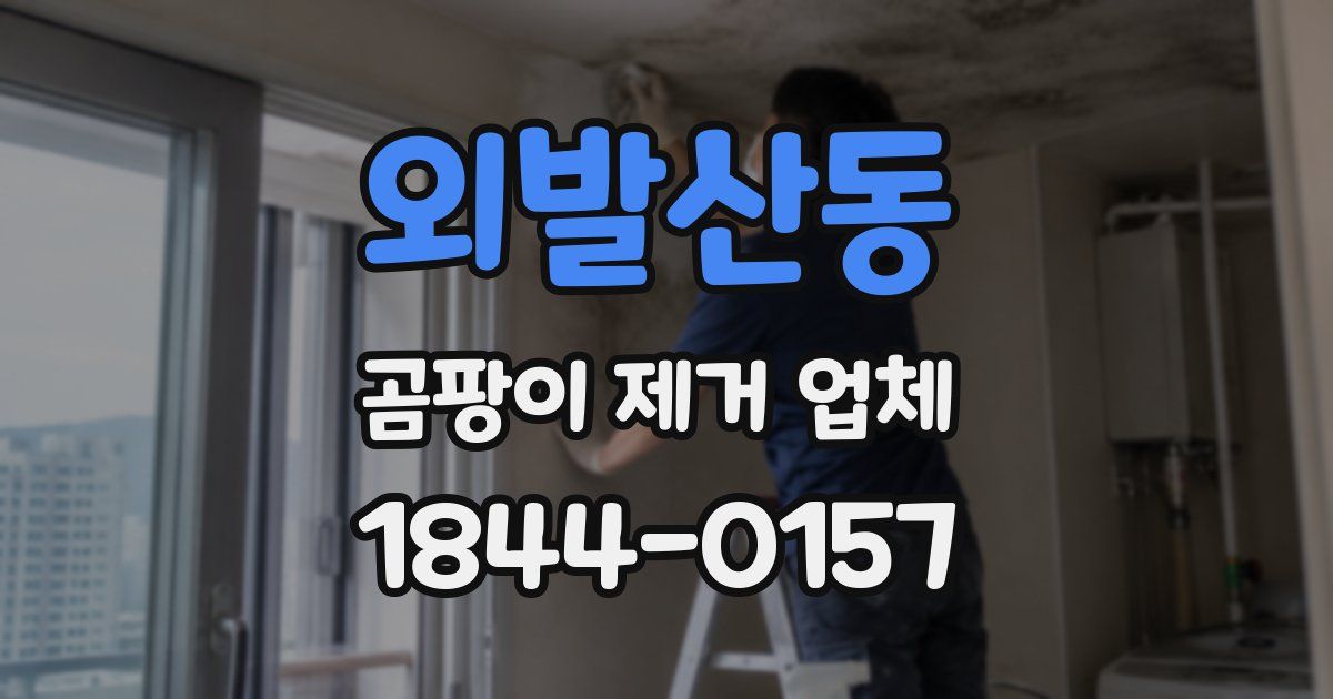 외발산동 곰팡이 제거 업체