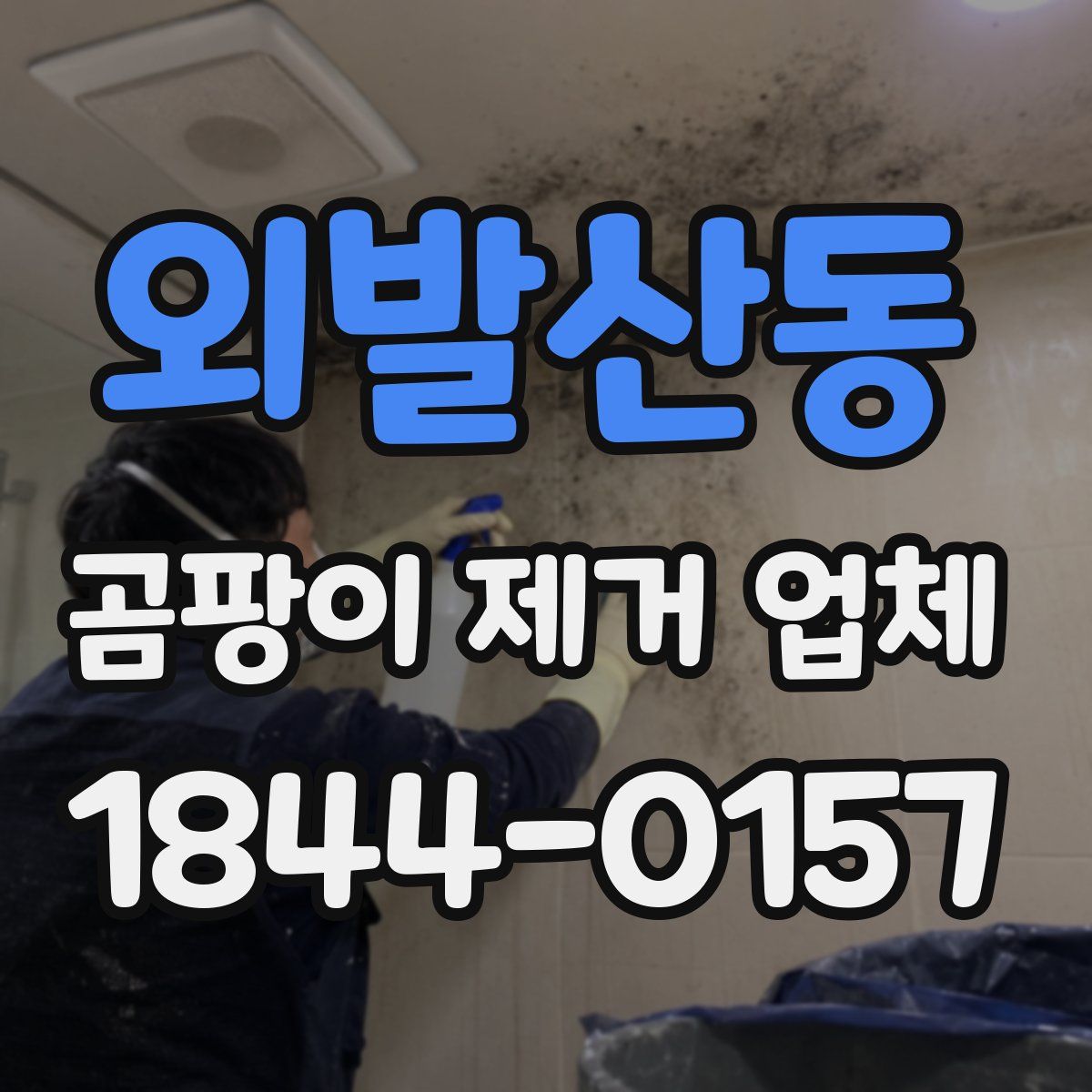 외발산동 곰팡이 제거 업체