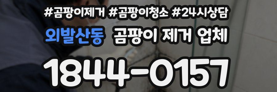 외발산동 곰팡이 제거 업체