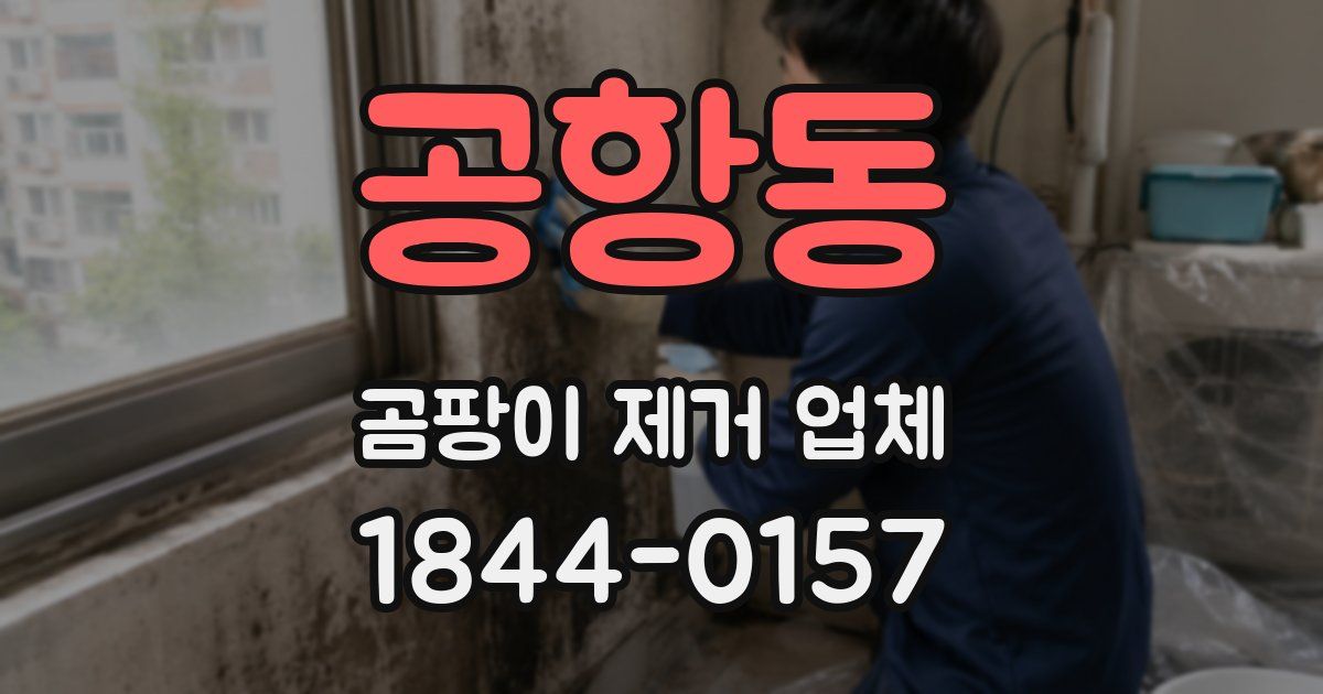 공항동 곰팡이 제거 업체