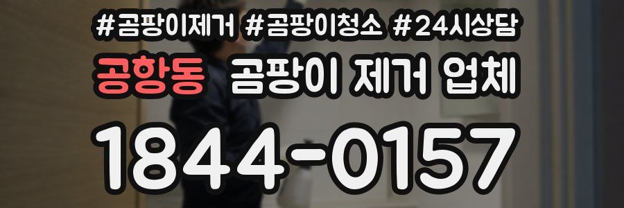 공항동 곰팡이 제거 업체