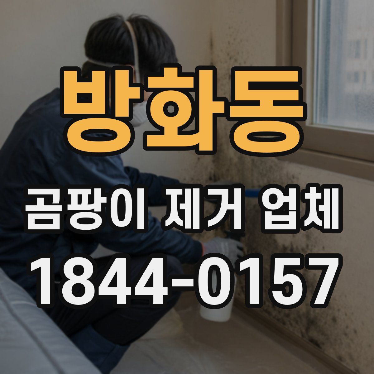 방화동 곰팡이 제거 업체
