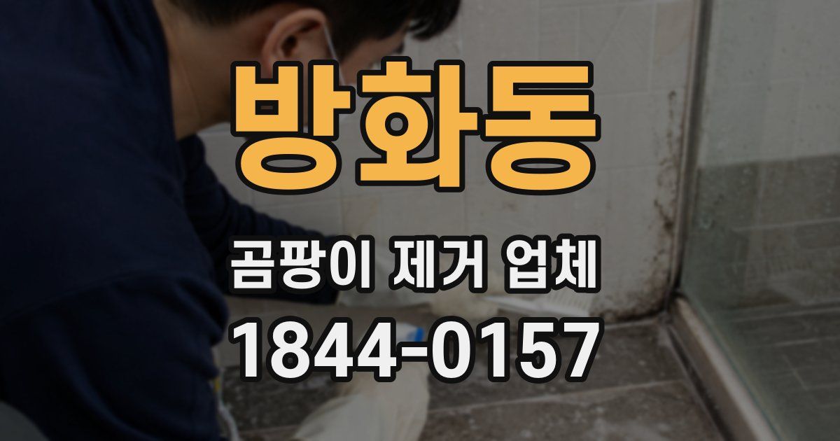 방화동 곰팡이 제거 업체