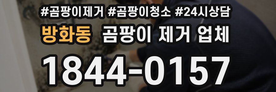방화동 곰팡이 제거 업체