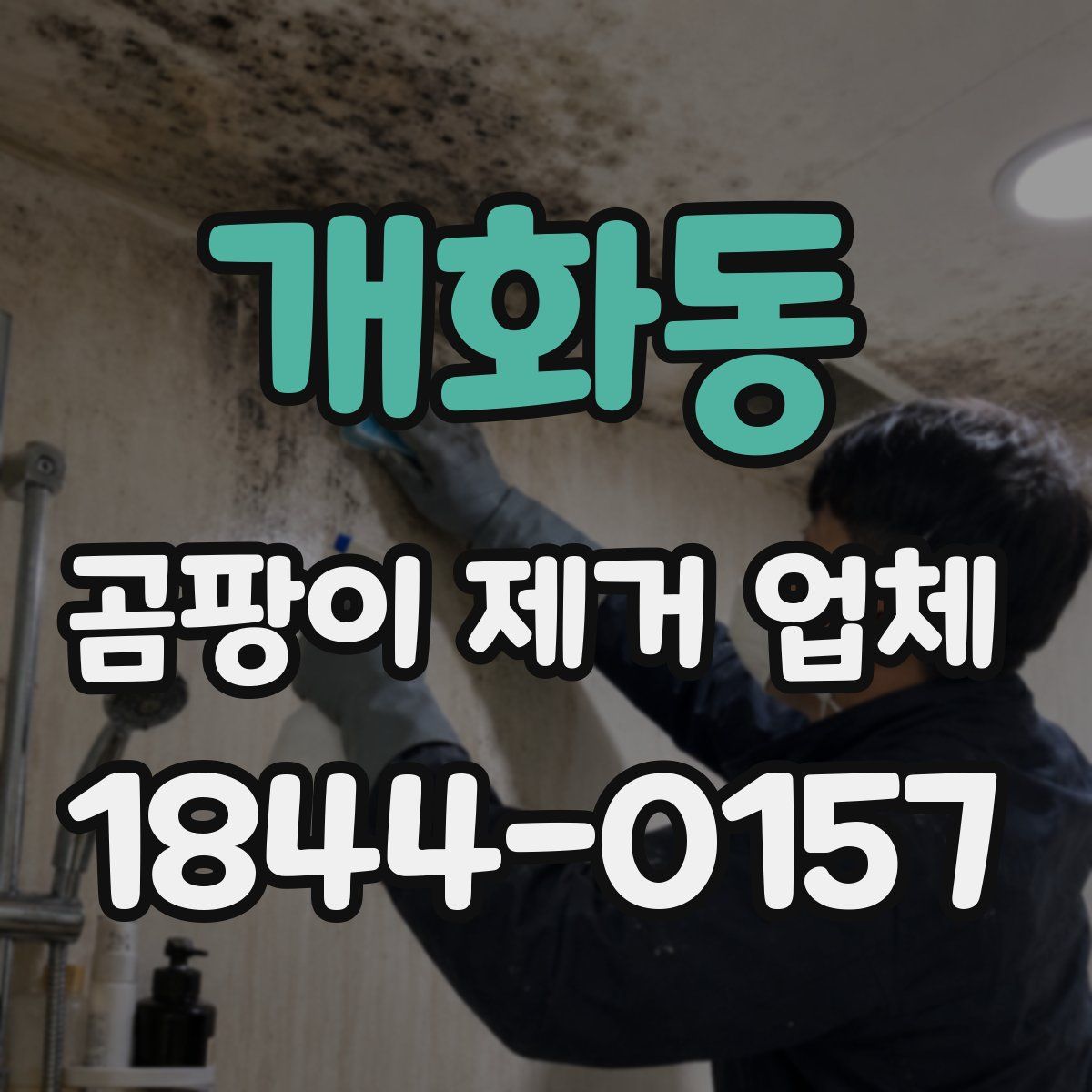 개화동 곰팡이 제거 업체